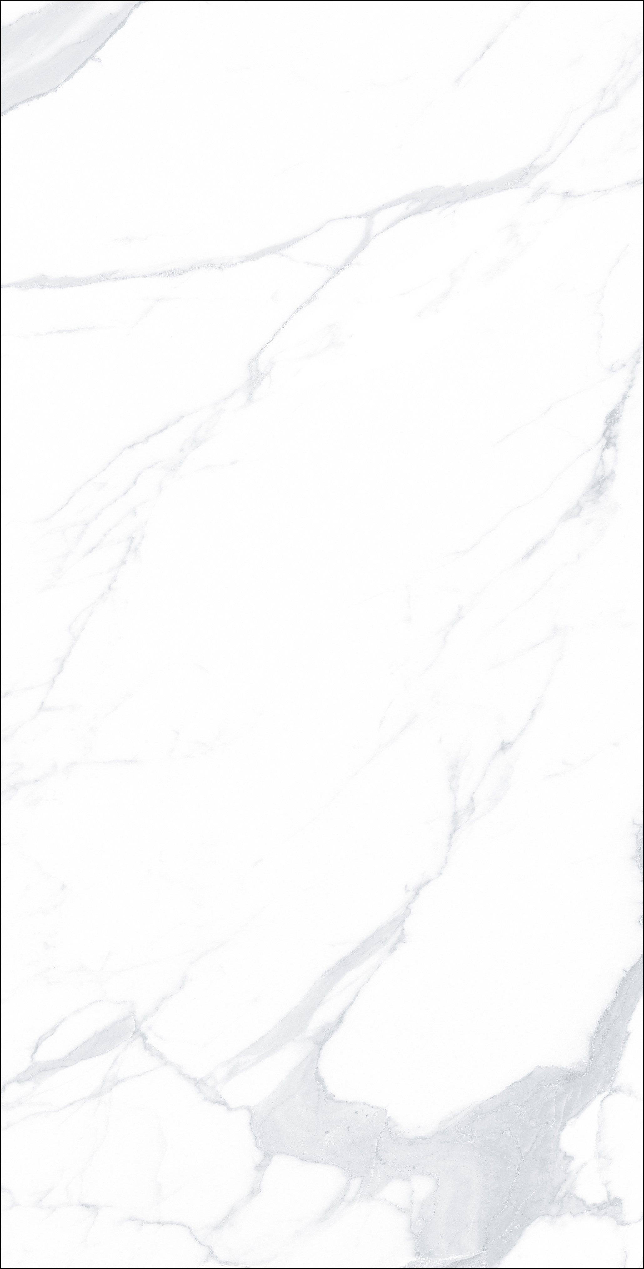 FB18005 歐普爵士白