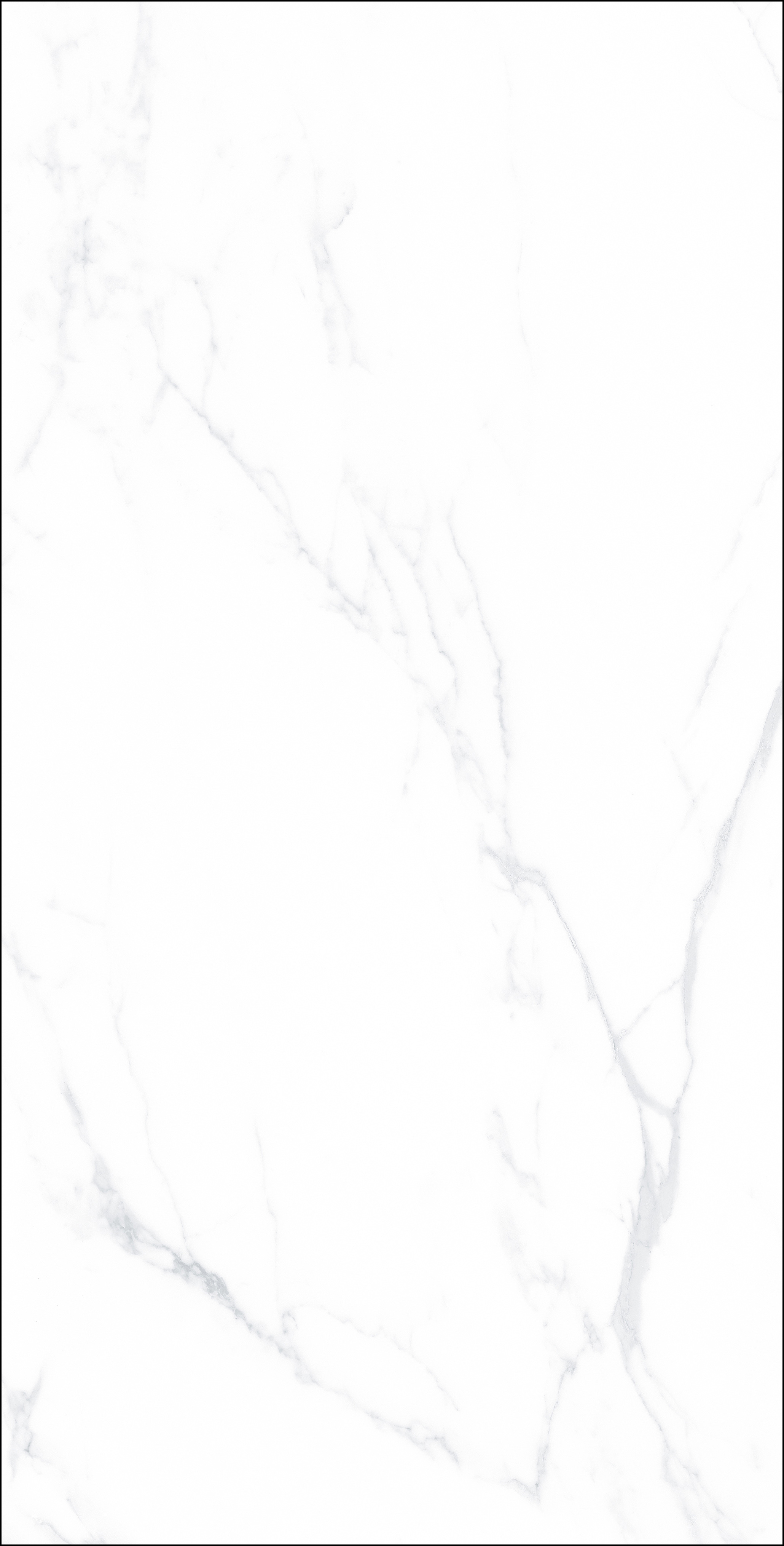 FB18005 歐普爵士白