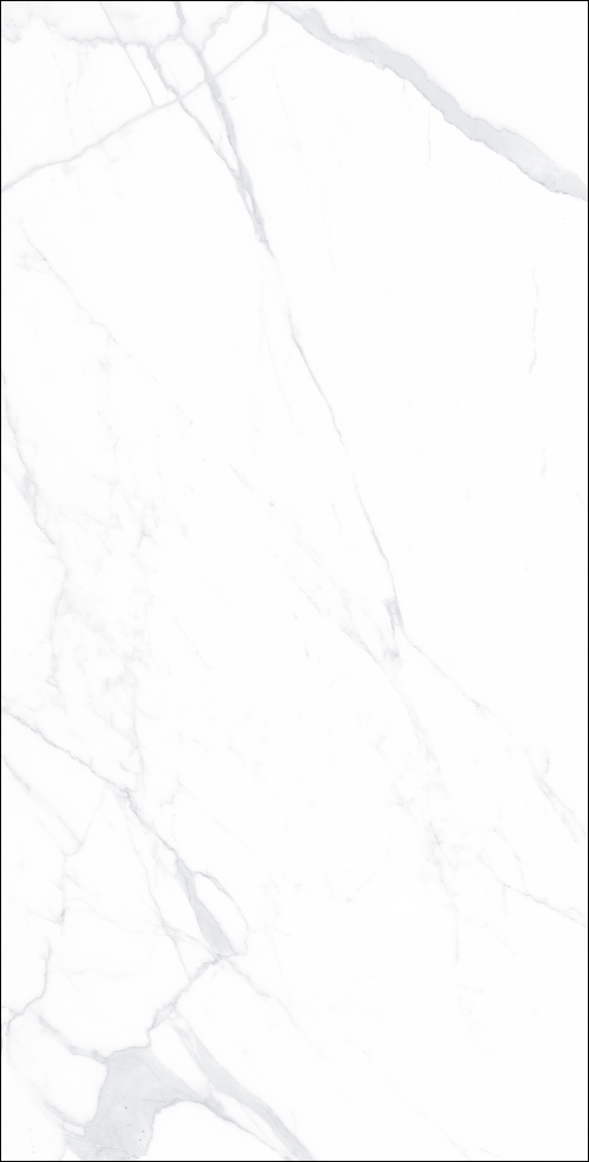 FB18005 歐普爵士白