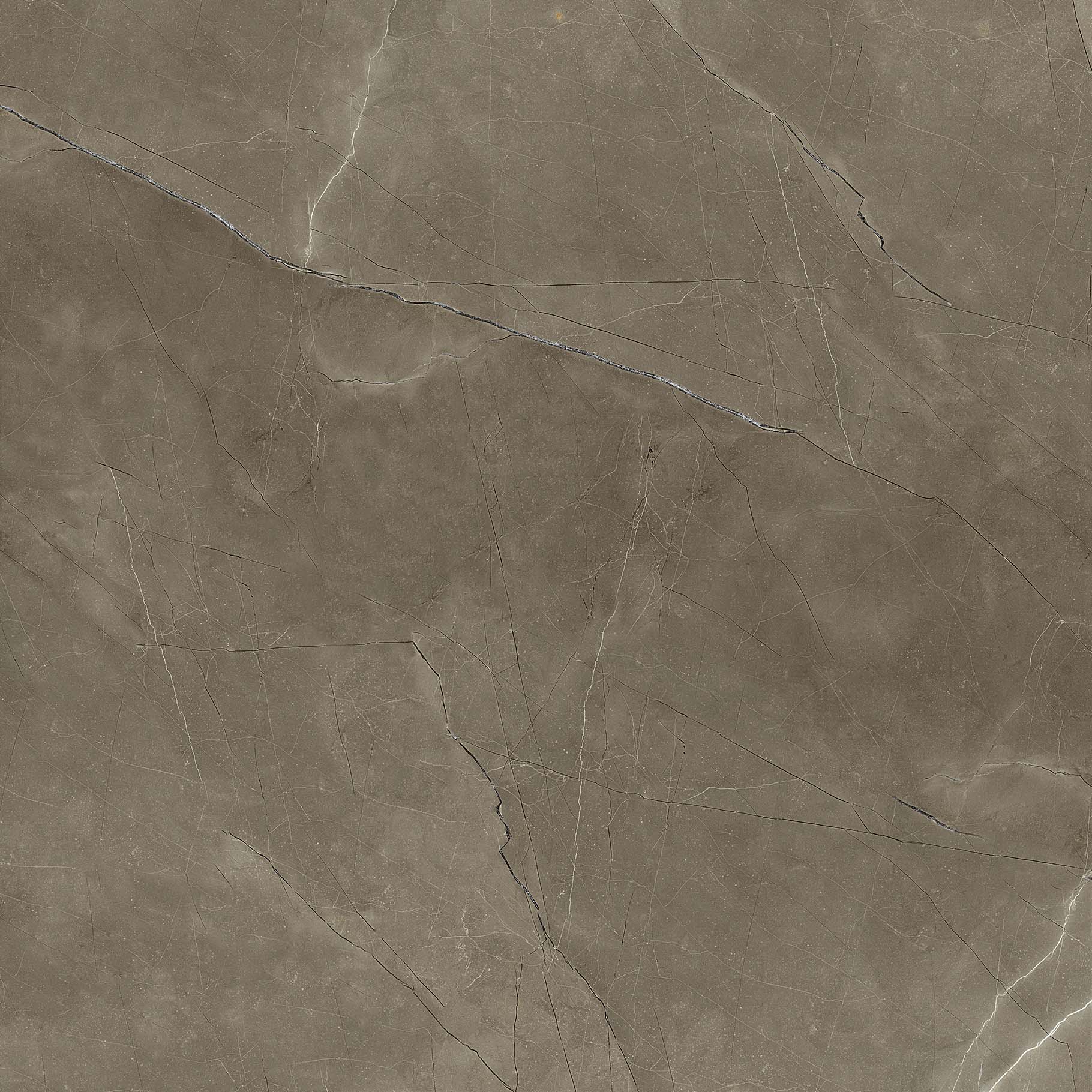 #OFTT80017B 圣羅蘭