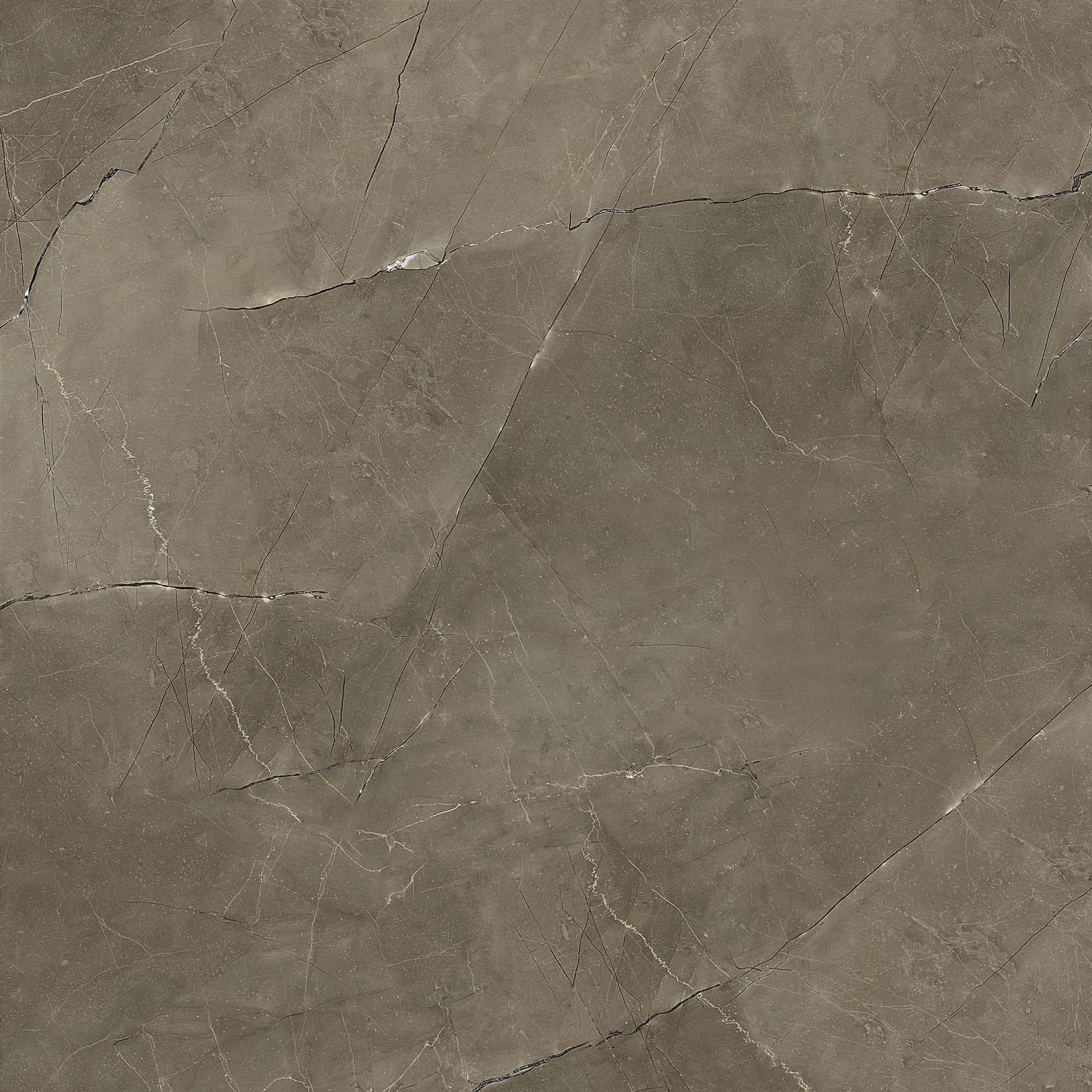 #OFTT80017B 圣羅蘭