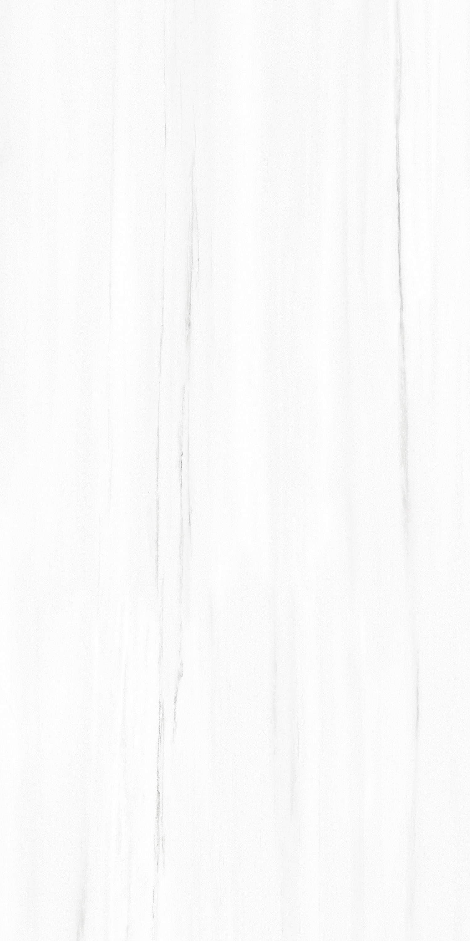 FTB15002 土耳其星白