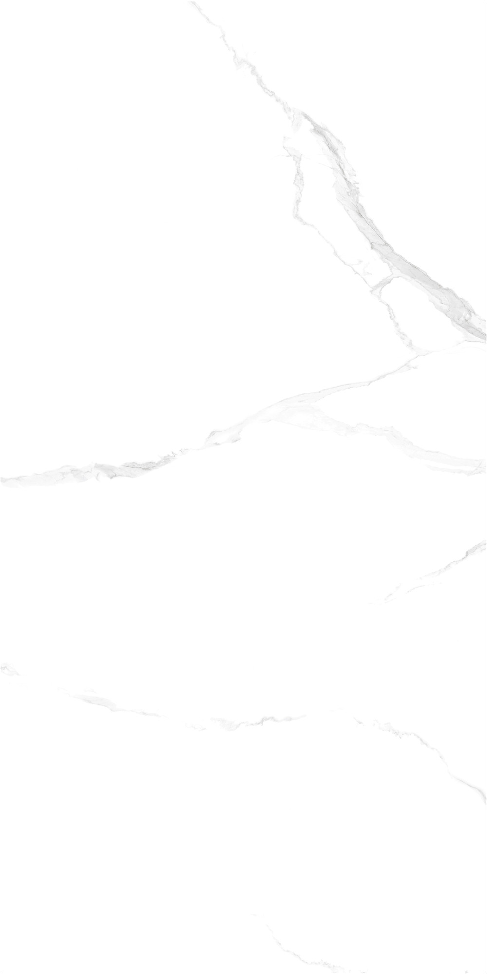 FTB15004 斯拉夫白（連紋）