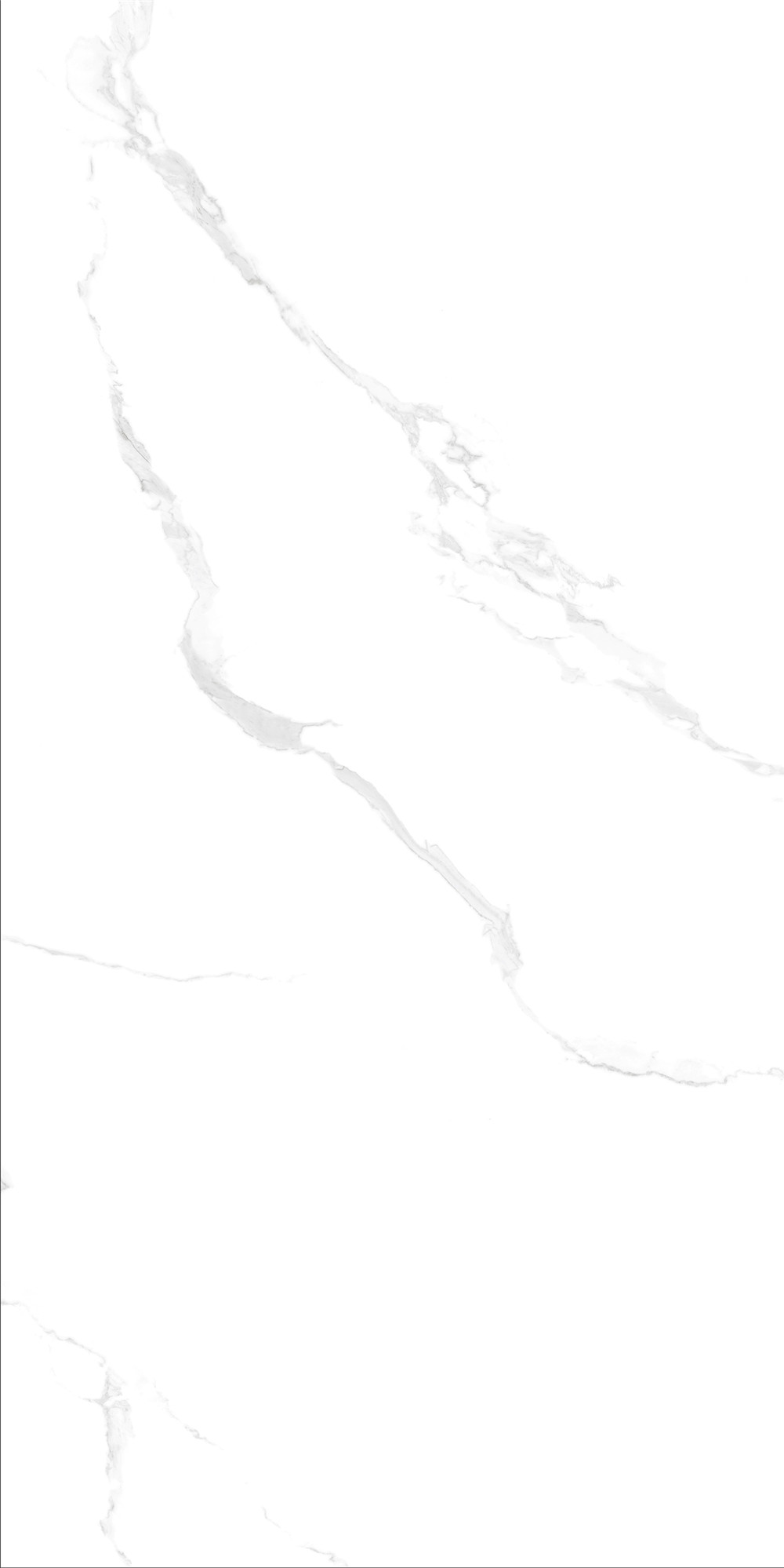 FTB15004 斯拉夫白（連紋）