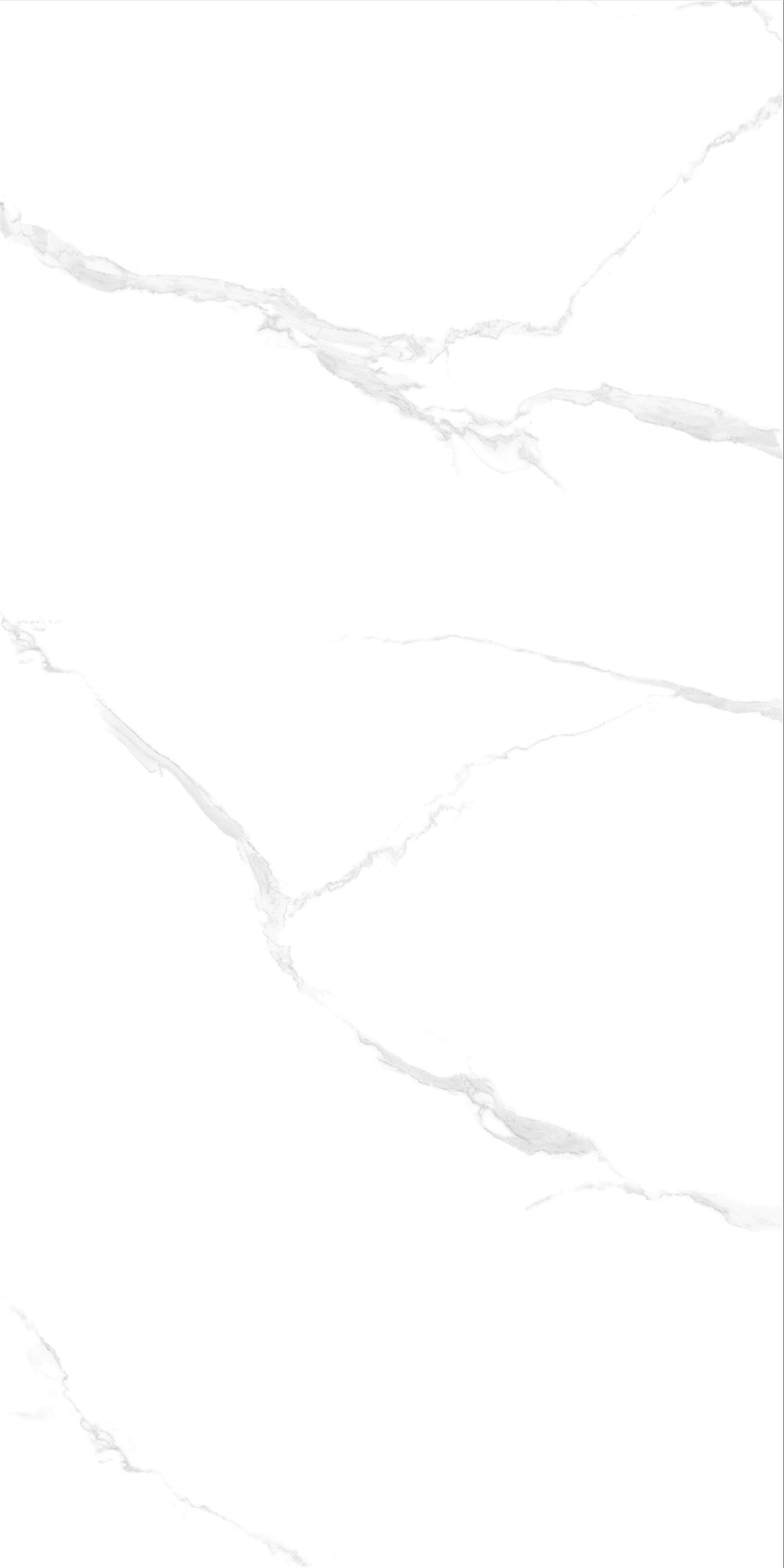 FTB15004 斯拉夫白（連紋）