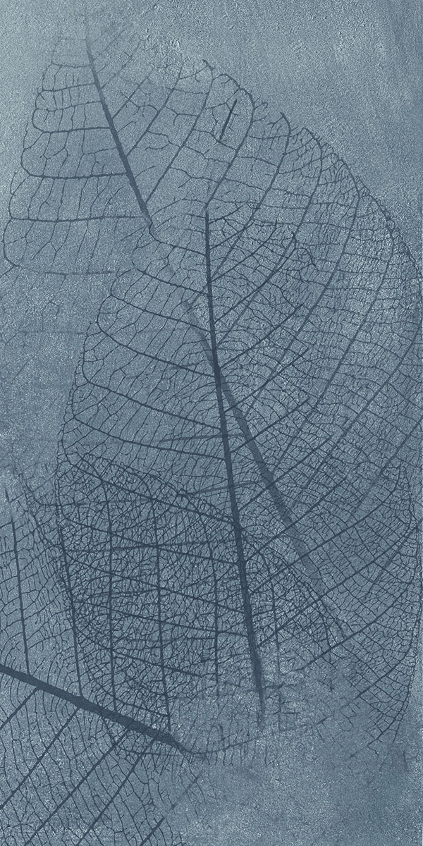 FTB15021 淺影拾光（連紋）