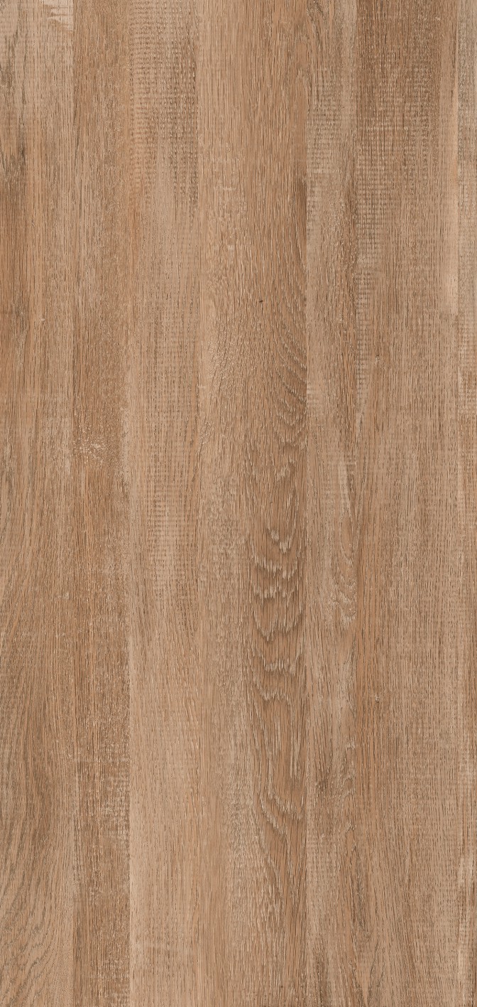 OFTD12011 東方云木