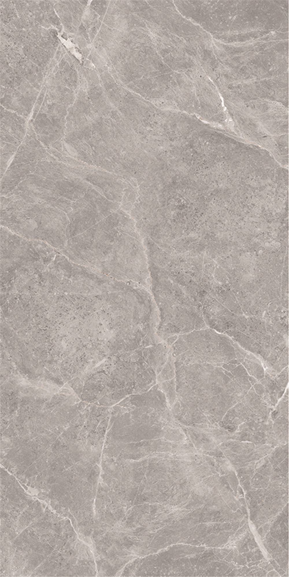 FTB12016 奧斯米灰