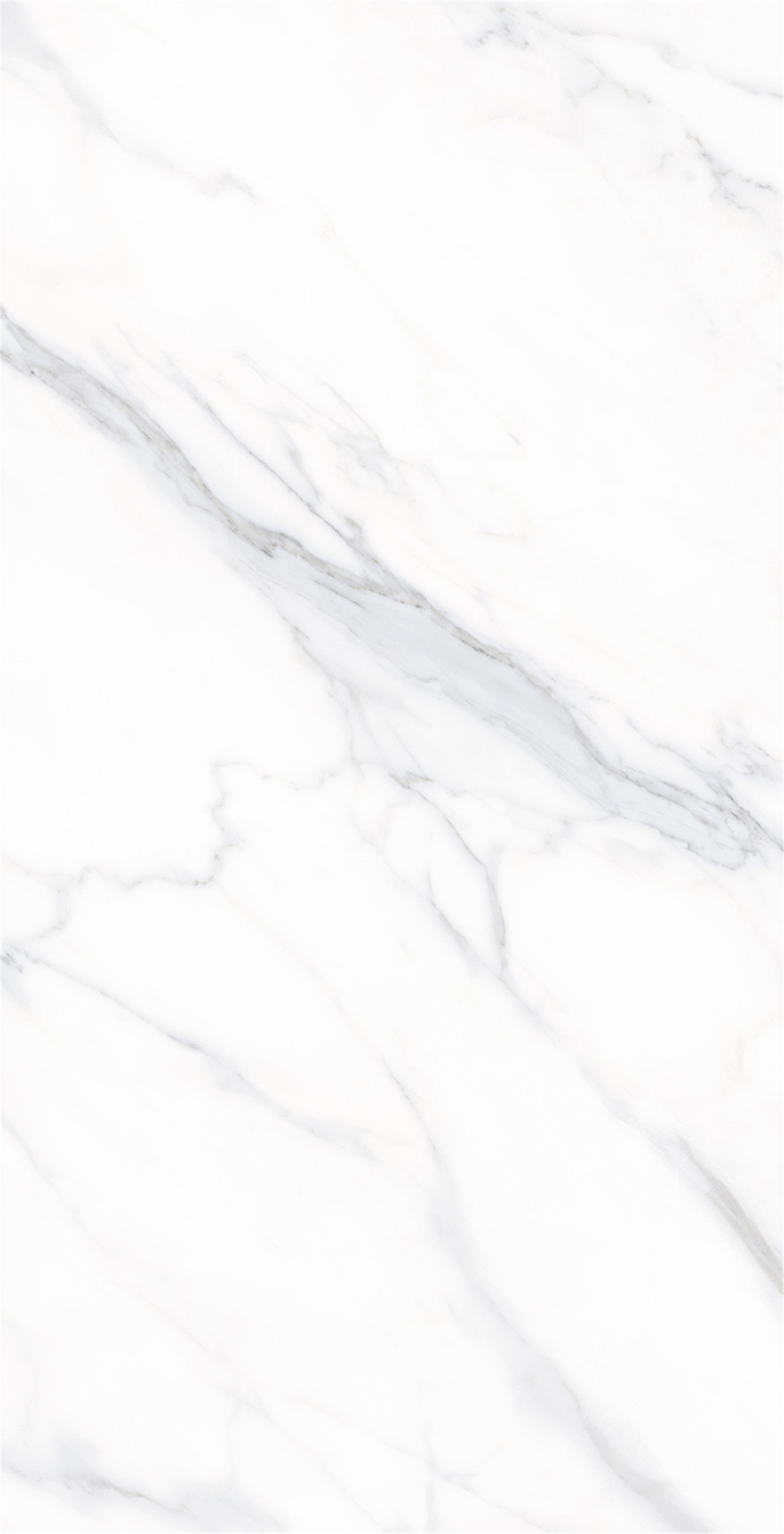 FTB12044 西域雅白