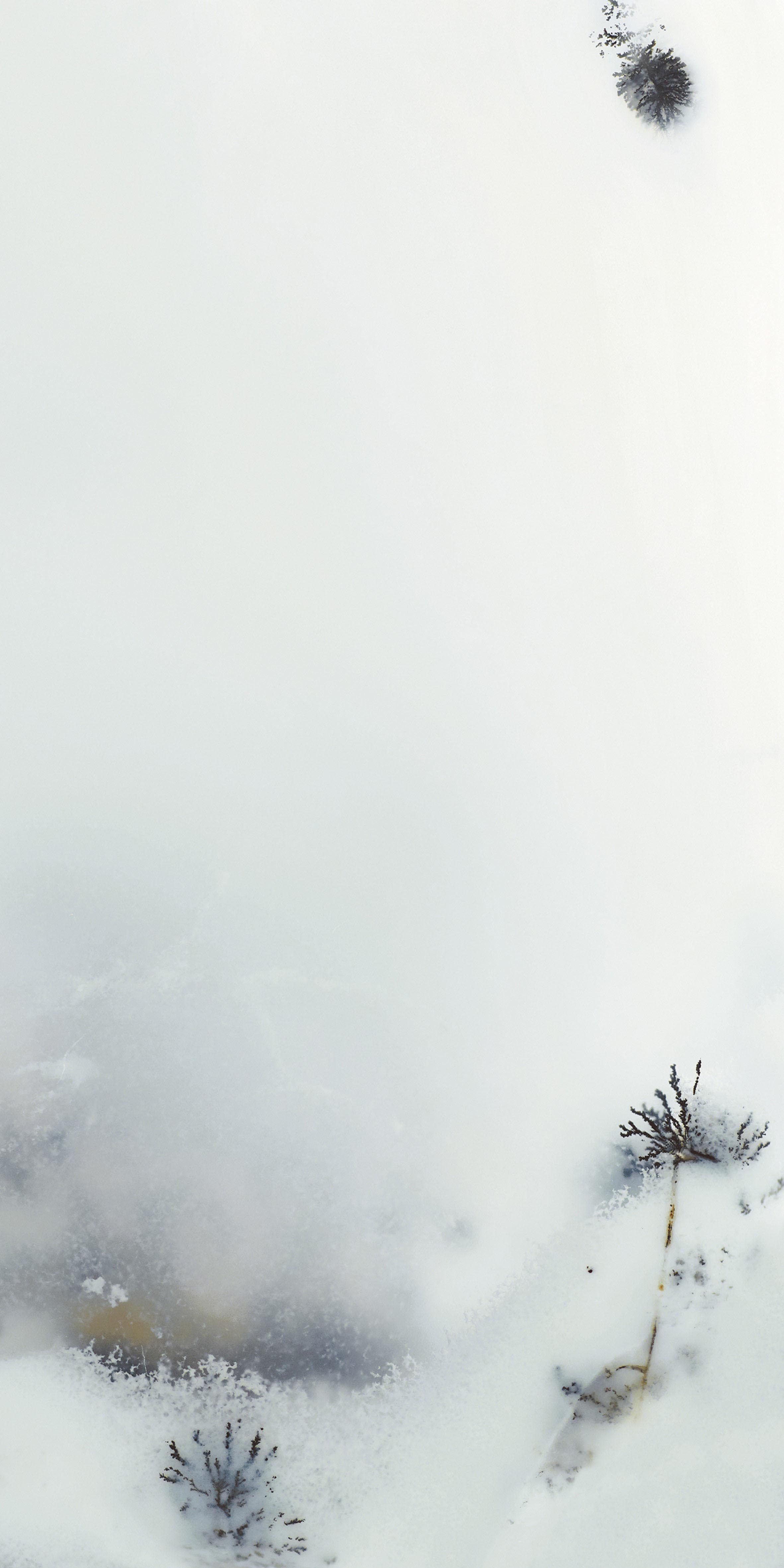 FTB12066 煙雨松露