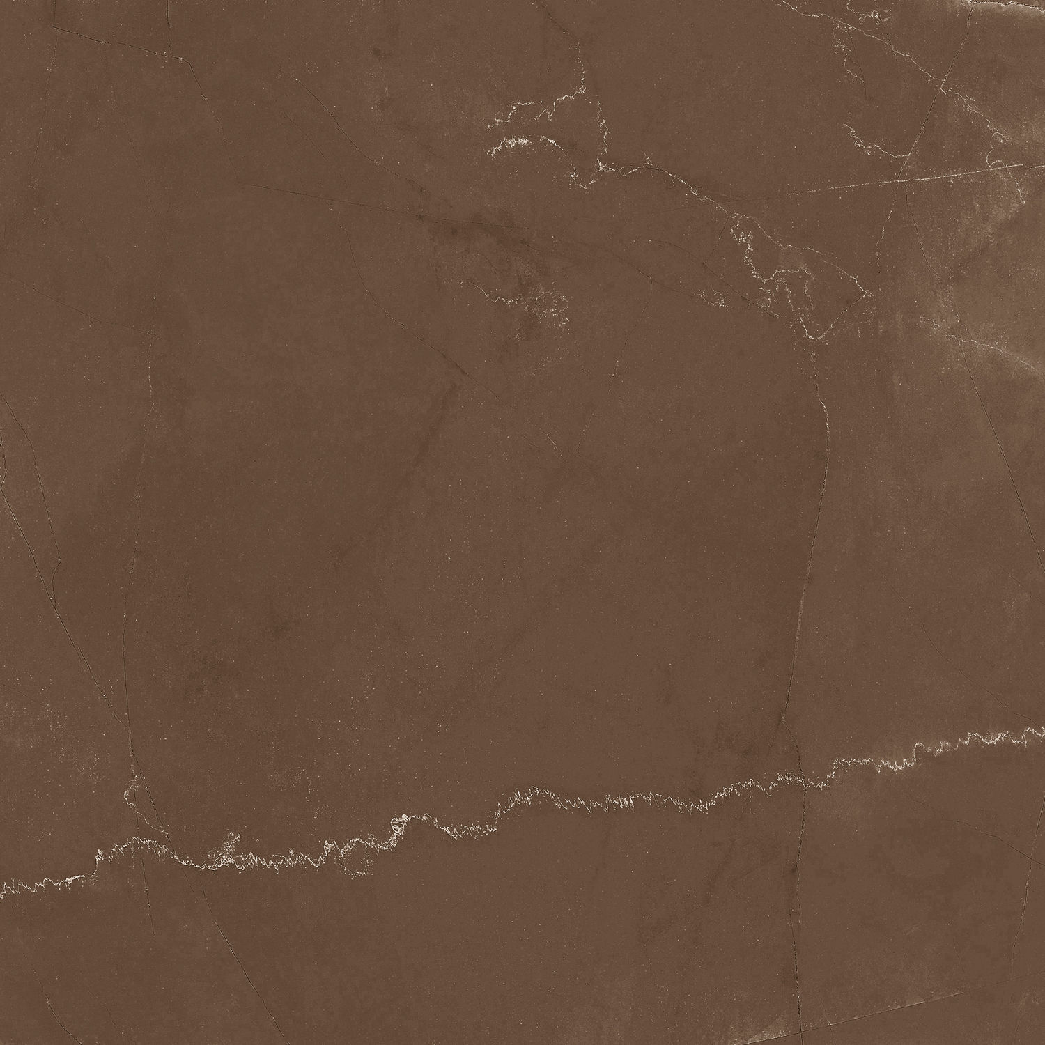 #OFDG80036 維羅納