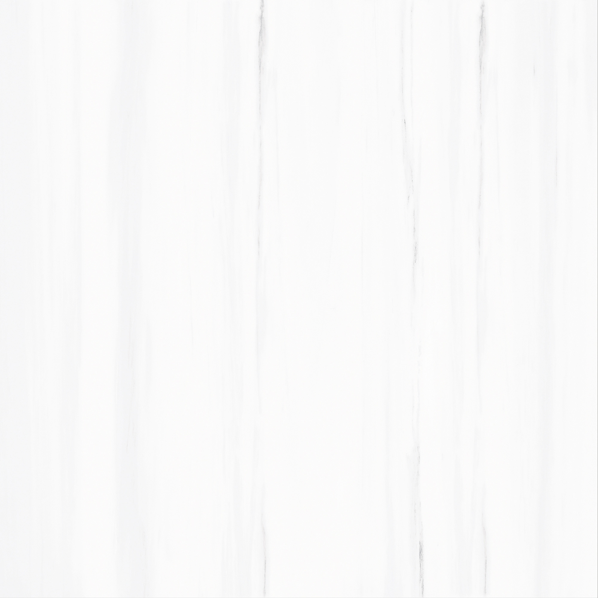 FCYB80089 土耳其星白