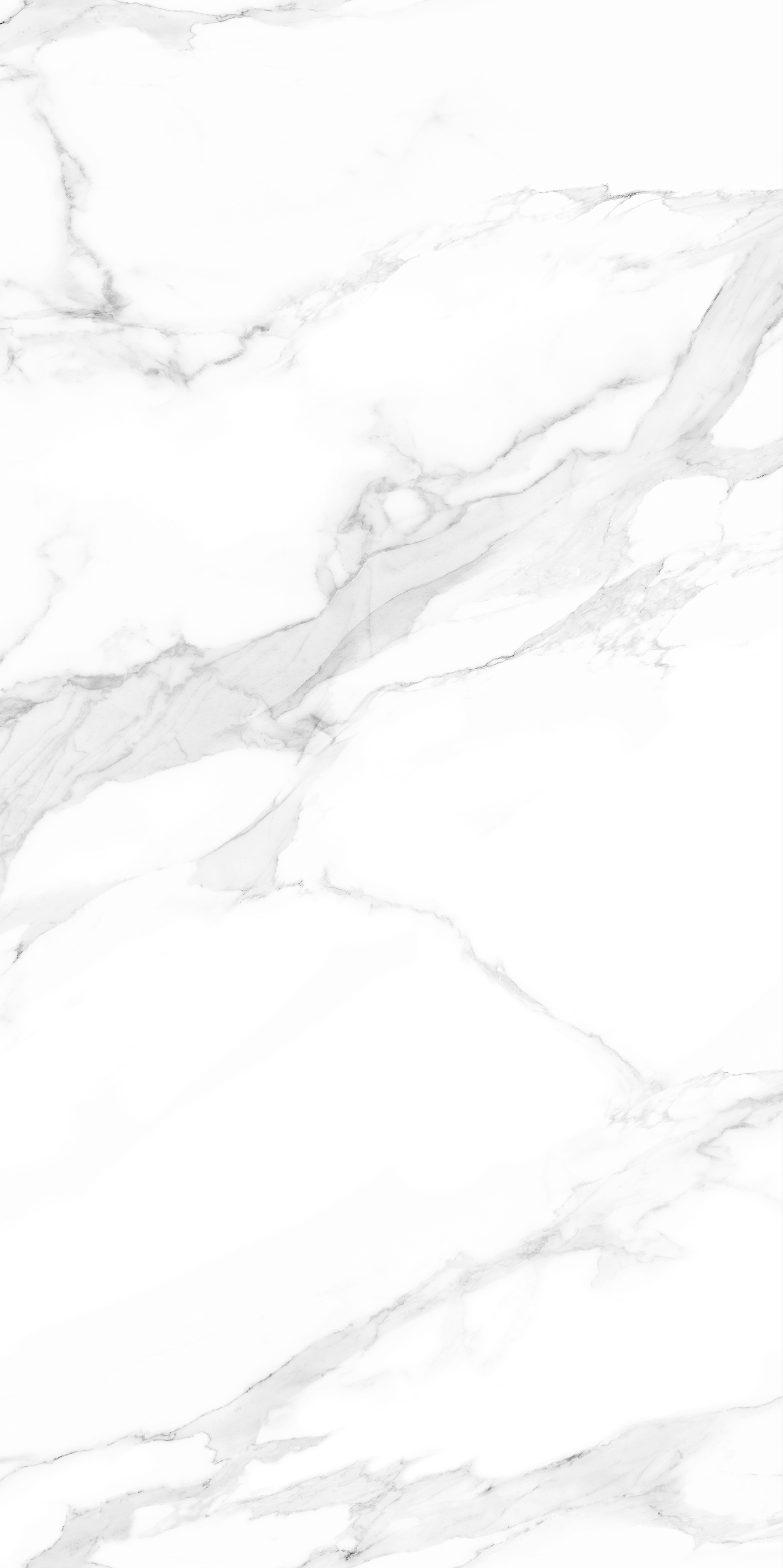 HJ241214馥芮白（亮光，橫向無(wú)限連紋）