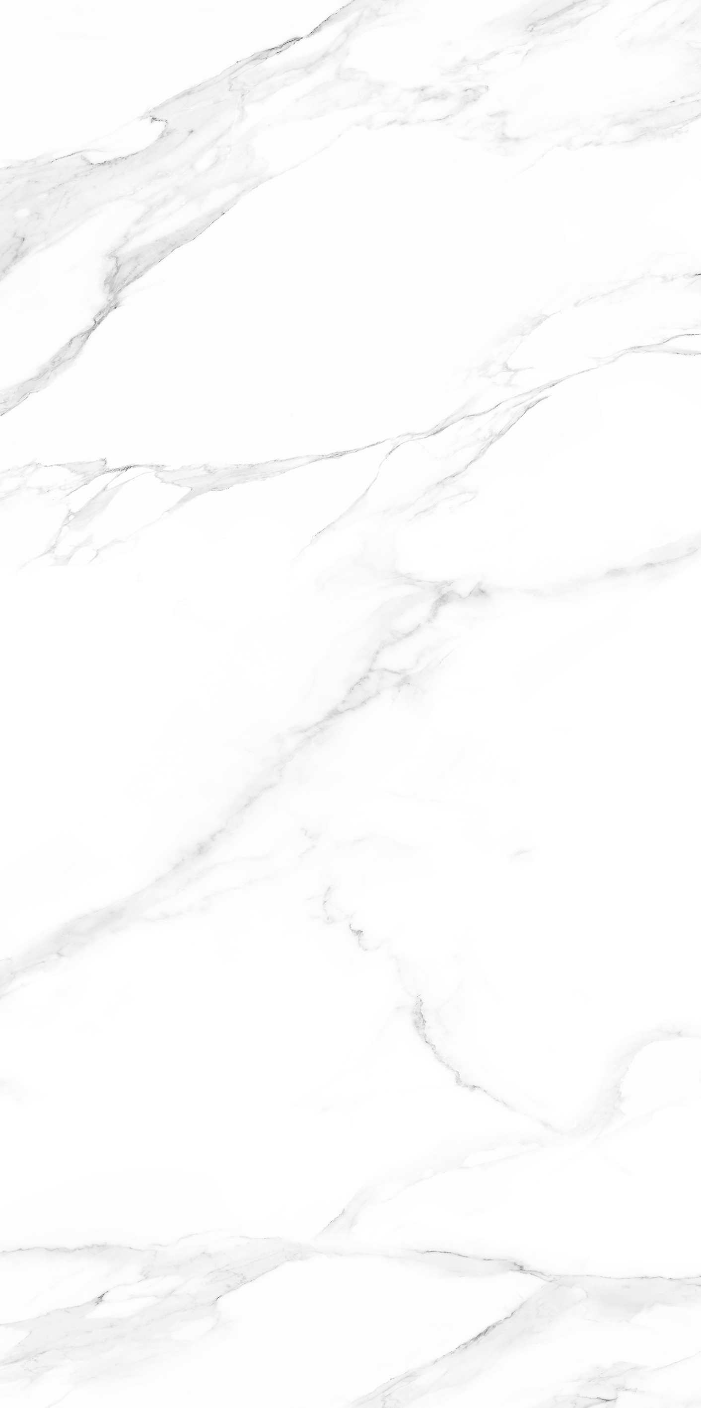 HJ241214馥芮白（亮光，橫向無(wú)限連紋）