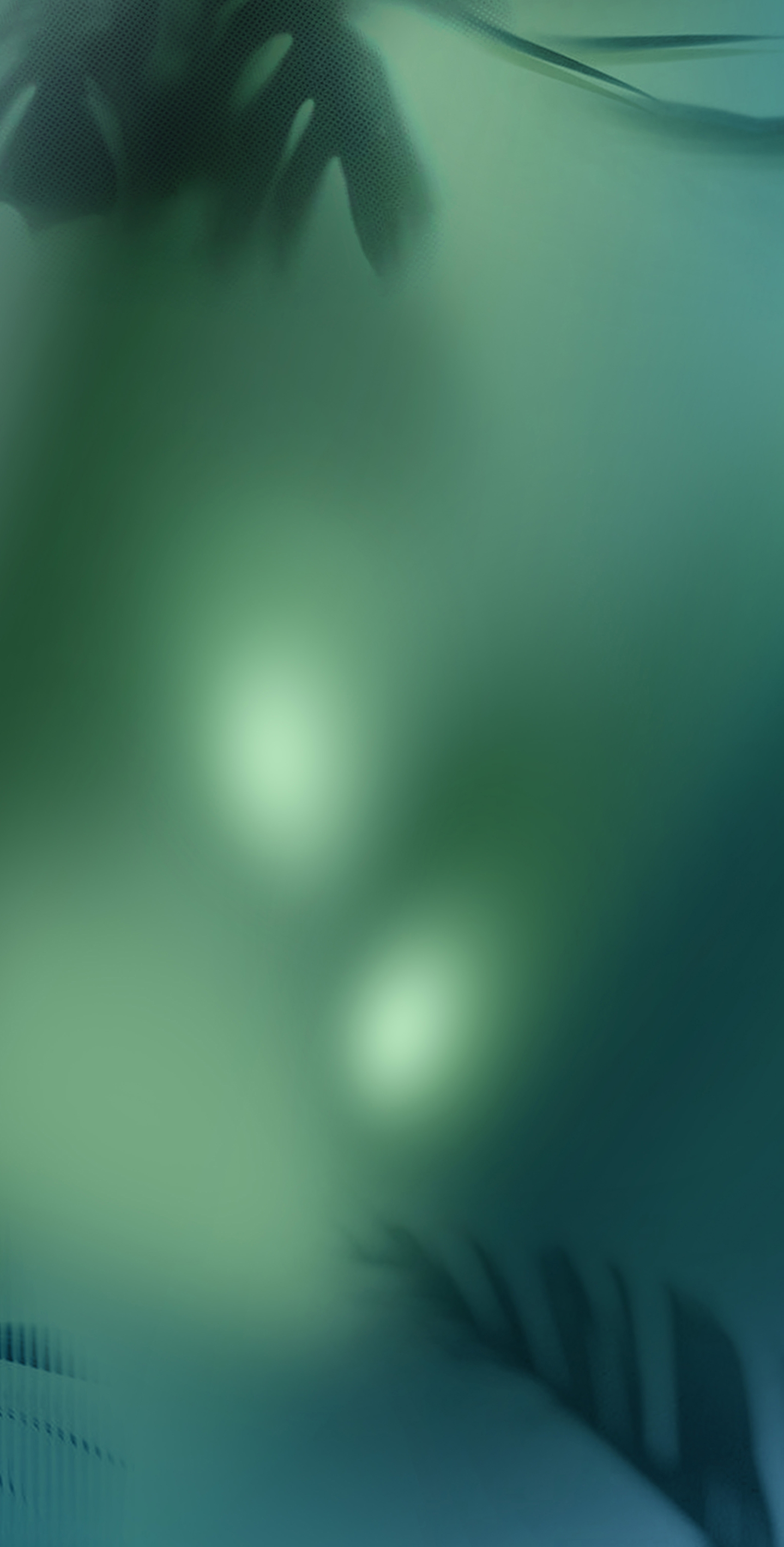 HJ9L2412018森影韶光（亮光，3片連紋）