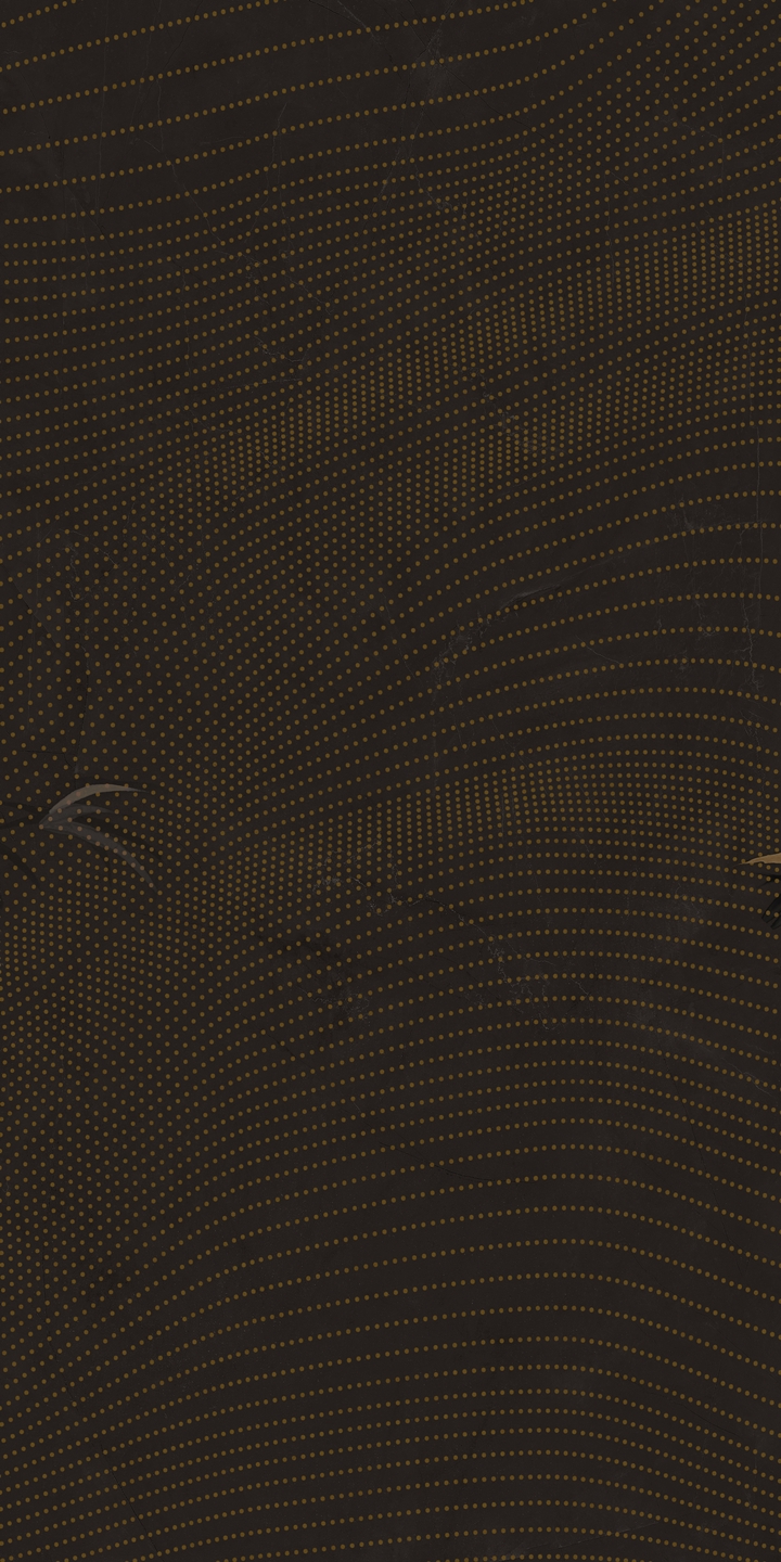 HJ9L2412019月夜竹影（亮光，3片連紋）