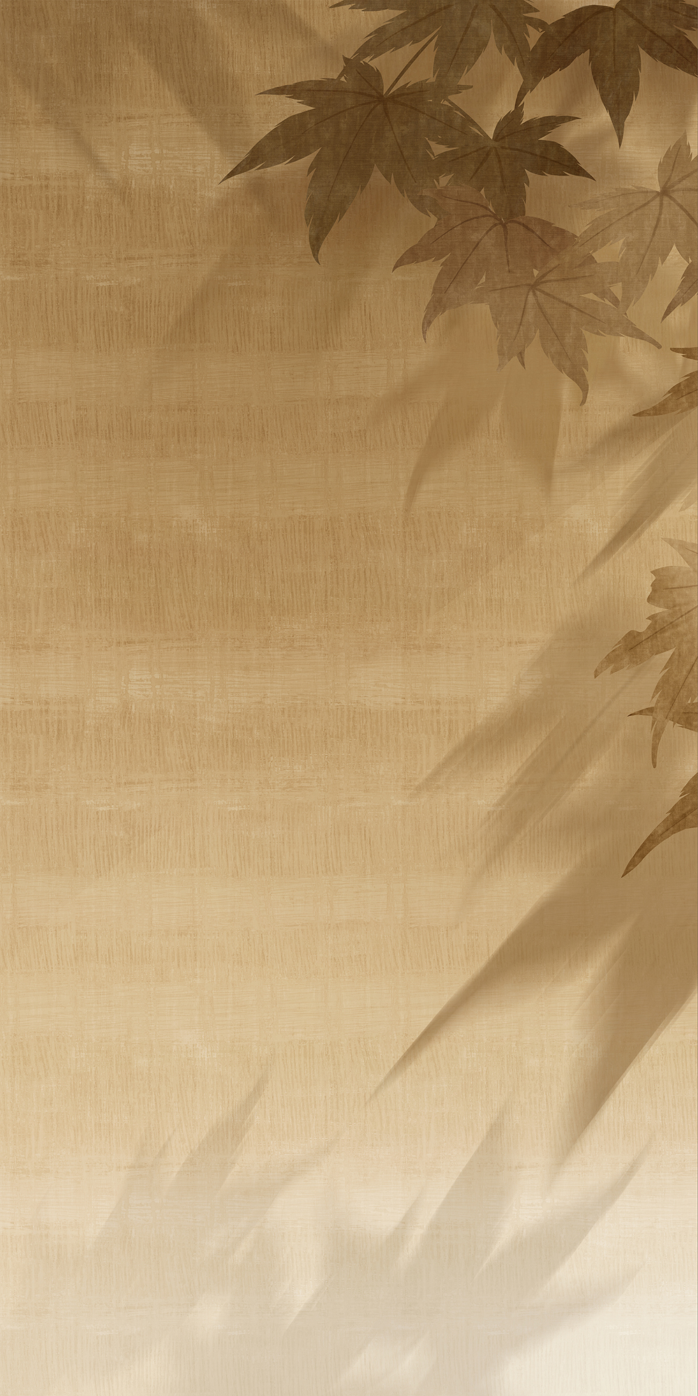 HJ9L2412040禾楓疏影