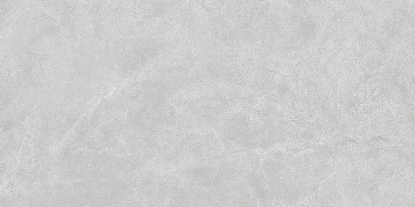 FTS48109愛丁堡灰