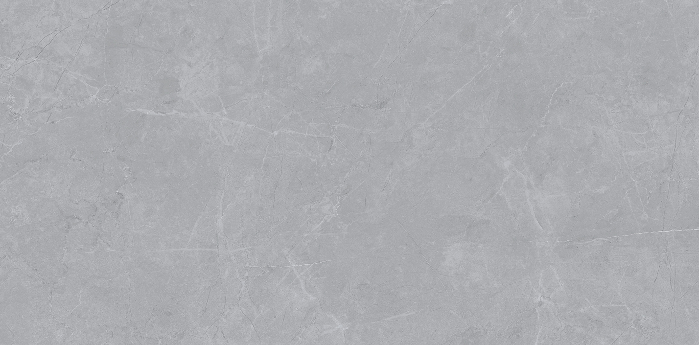 OFTD48506蘭伯特灰