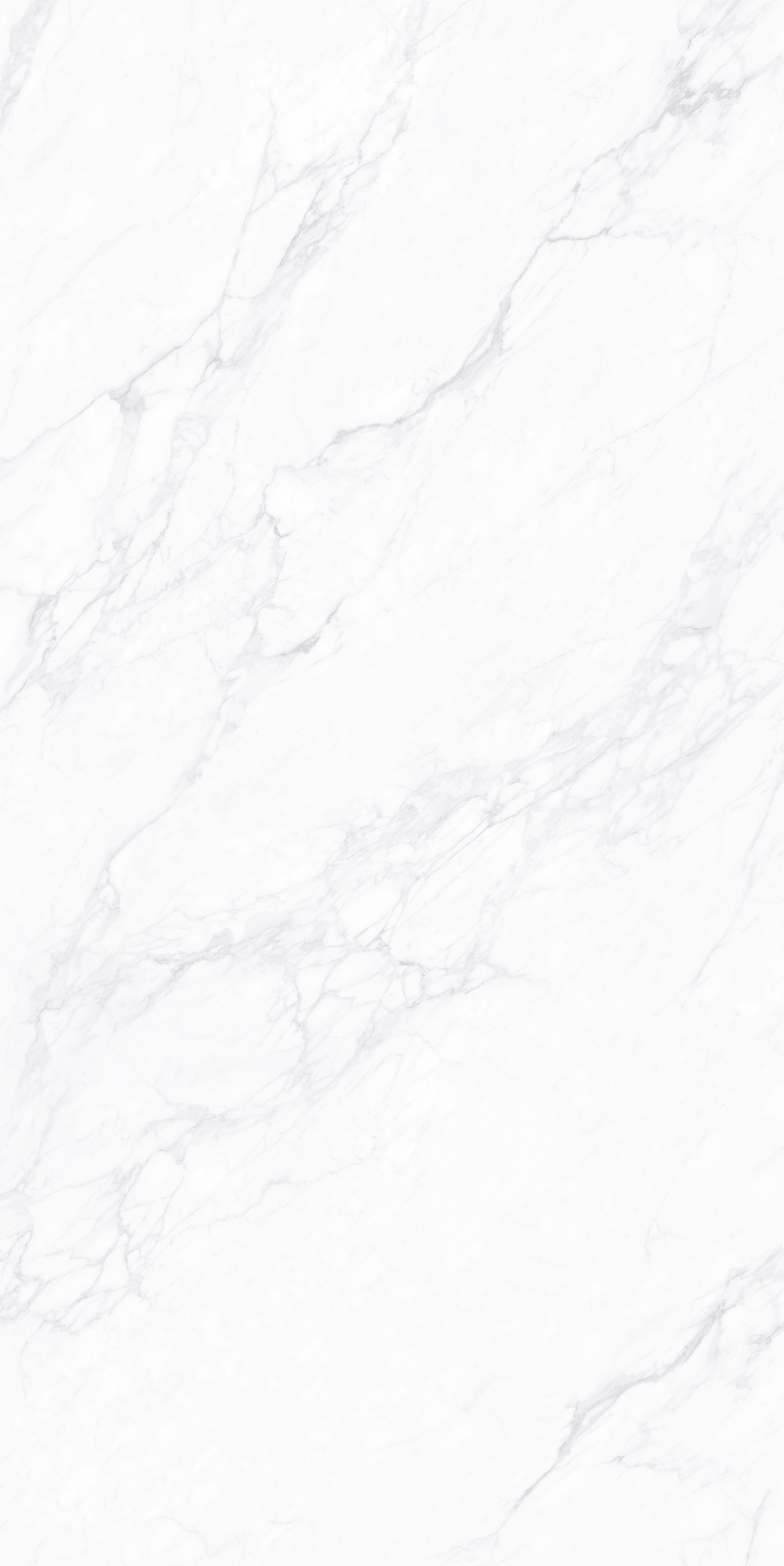 FTP18212雪落凝霜