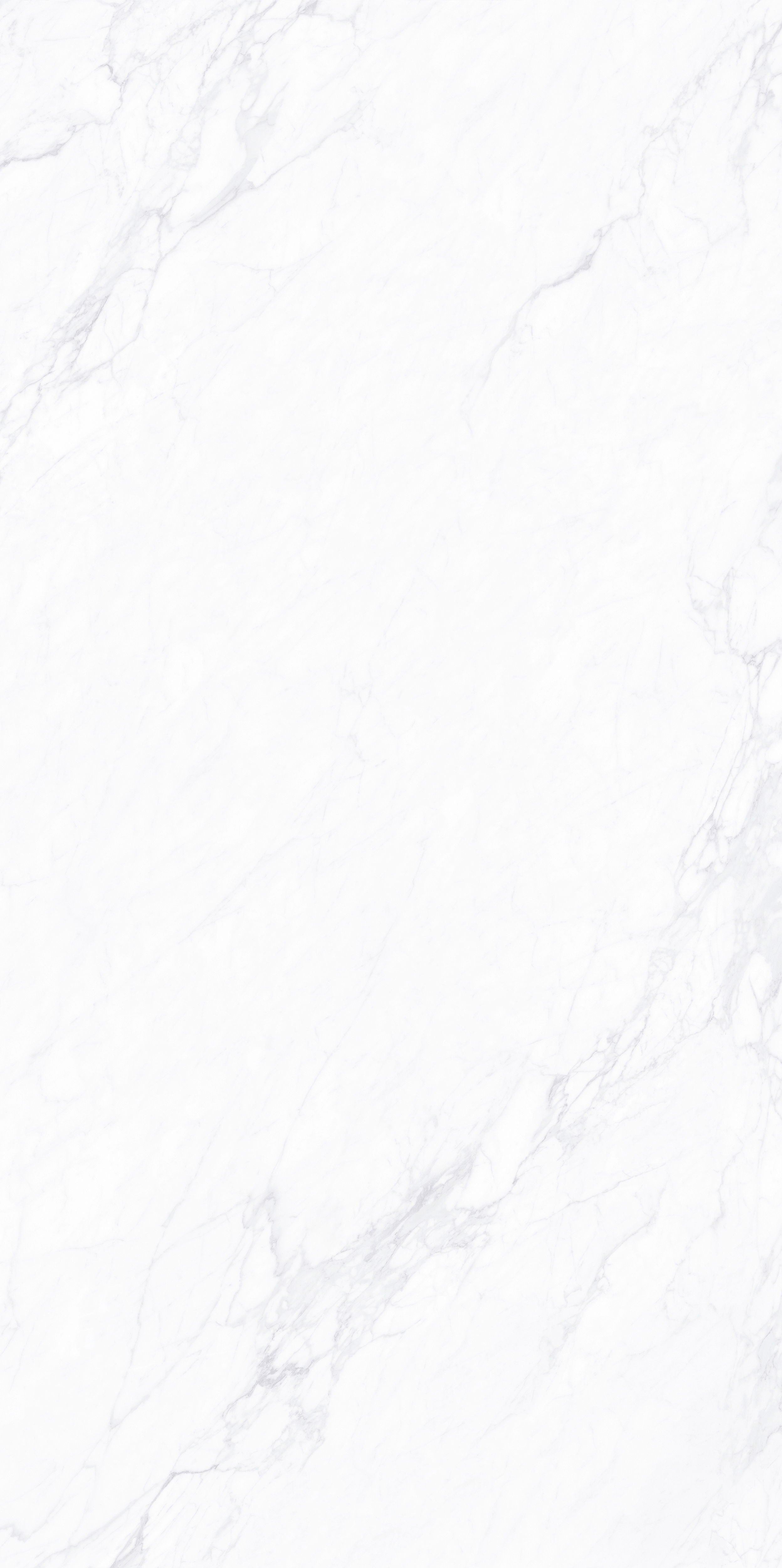 FTP18212雪落凝霜