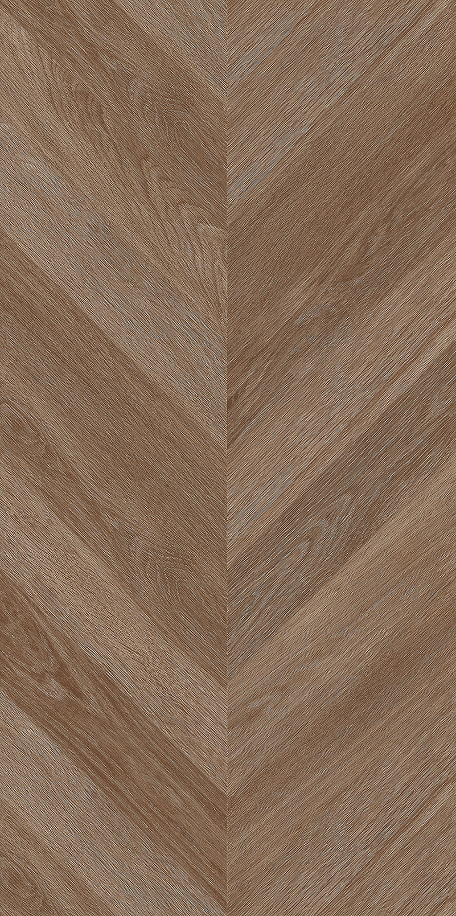 FTFZ12232B焦糖榆木