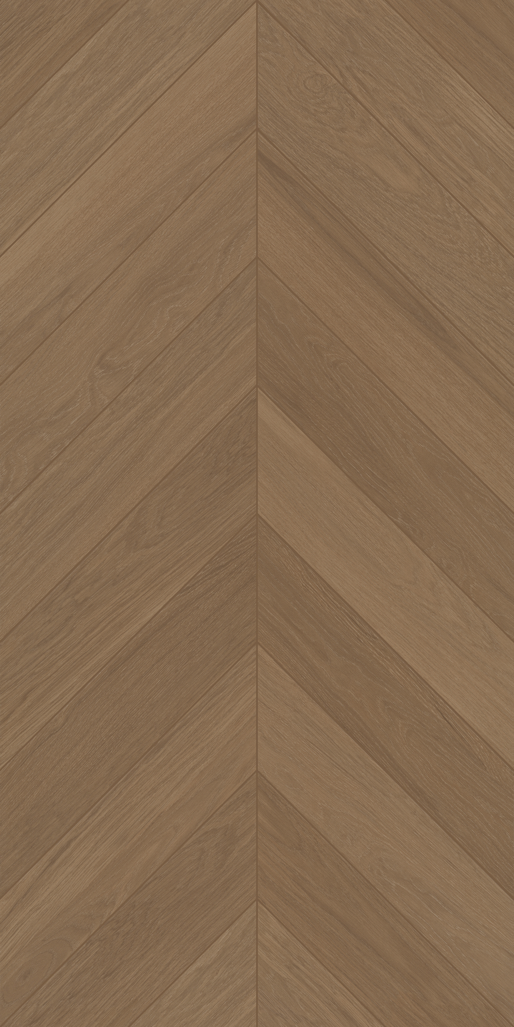 FTFZ12238B雅致沉香