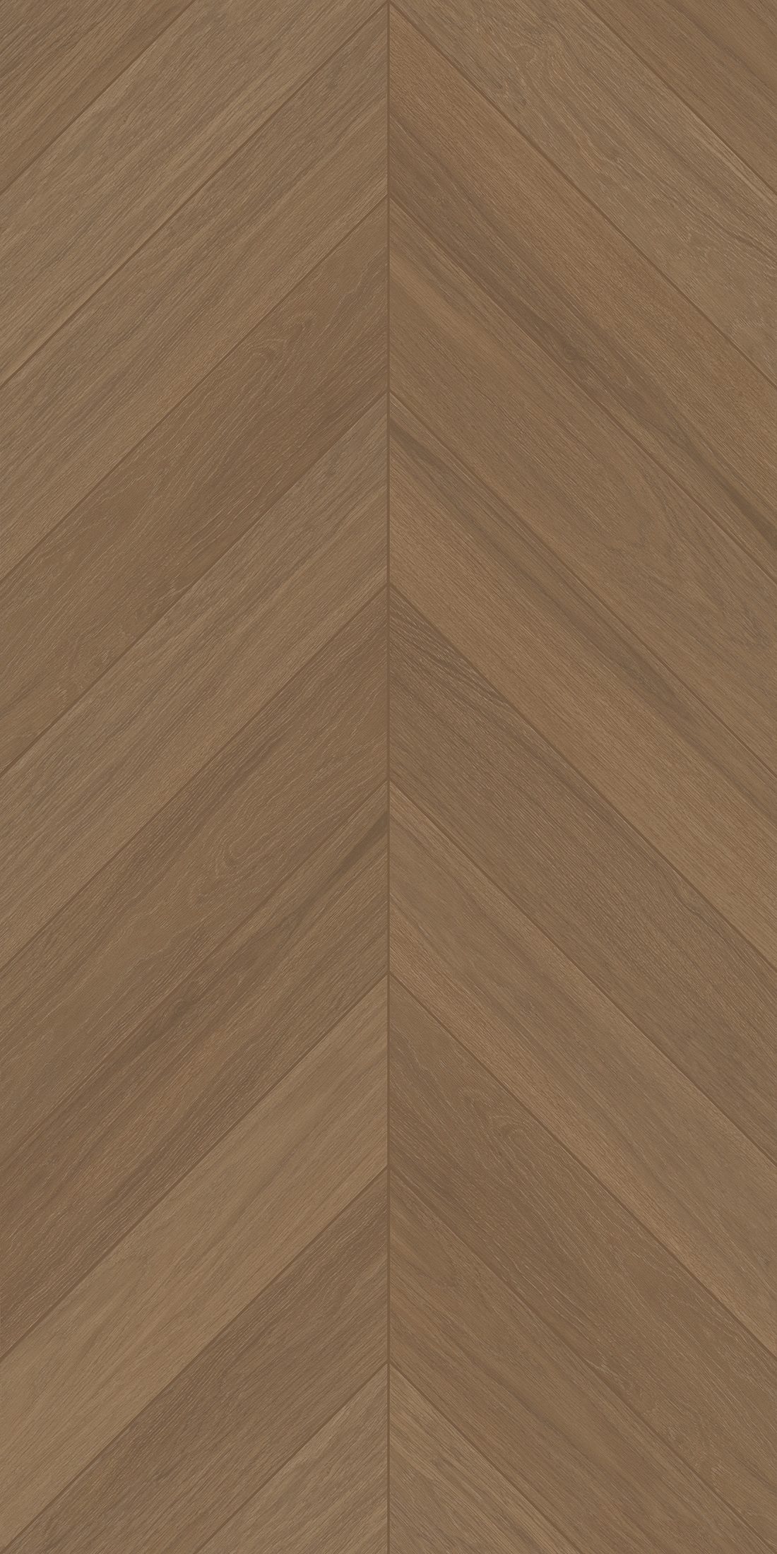 FTFZ12238B雅致沉香