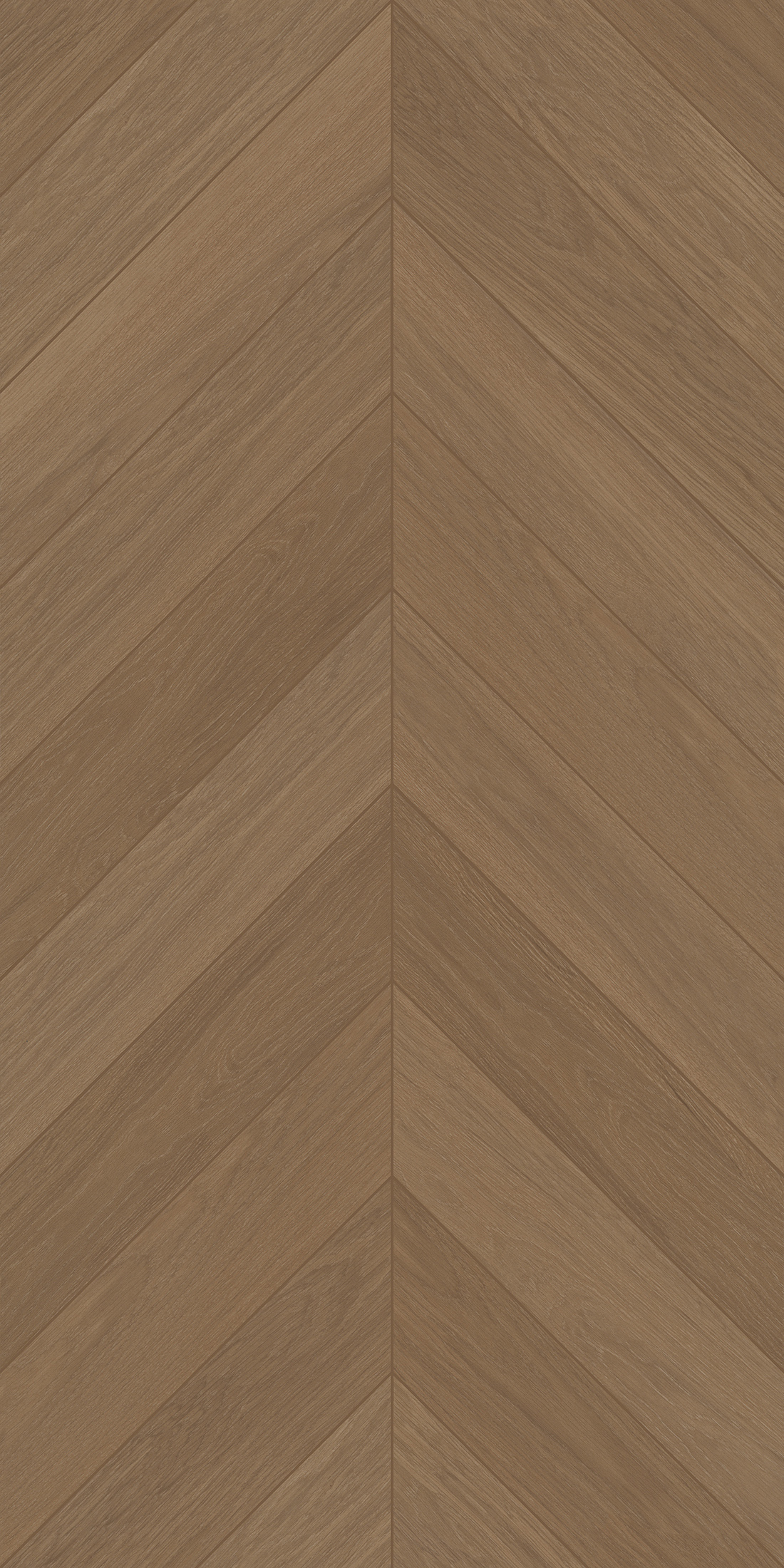 FTFZ12238B雅致沉香