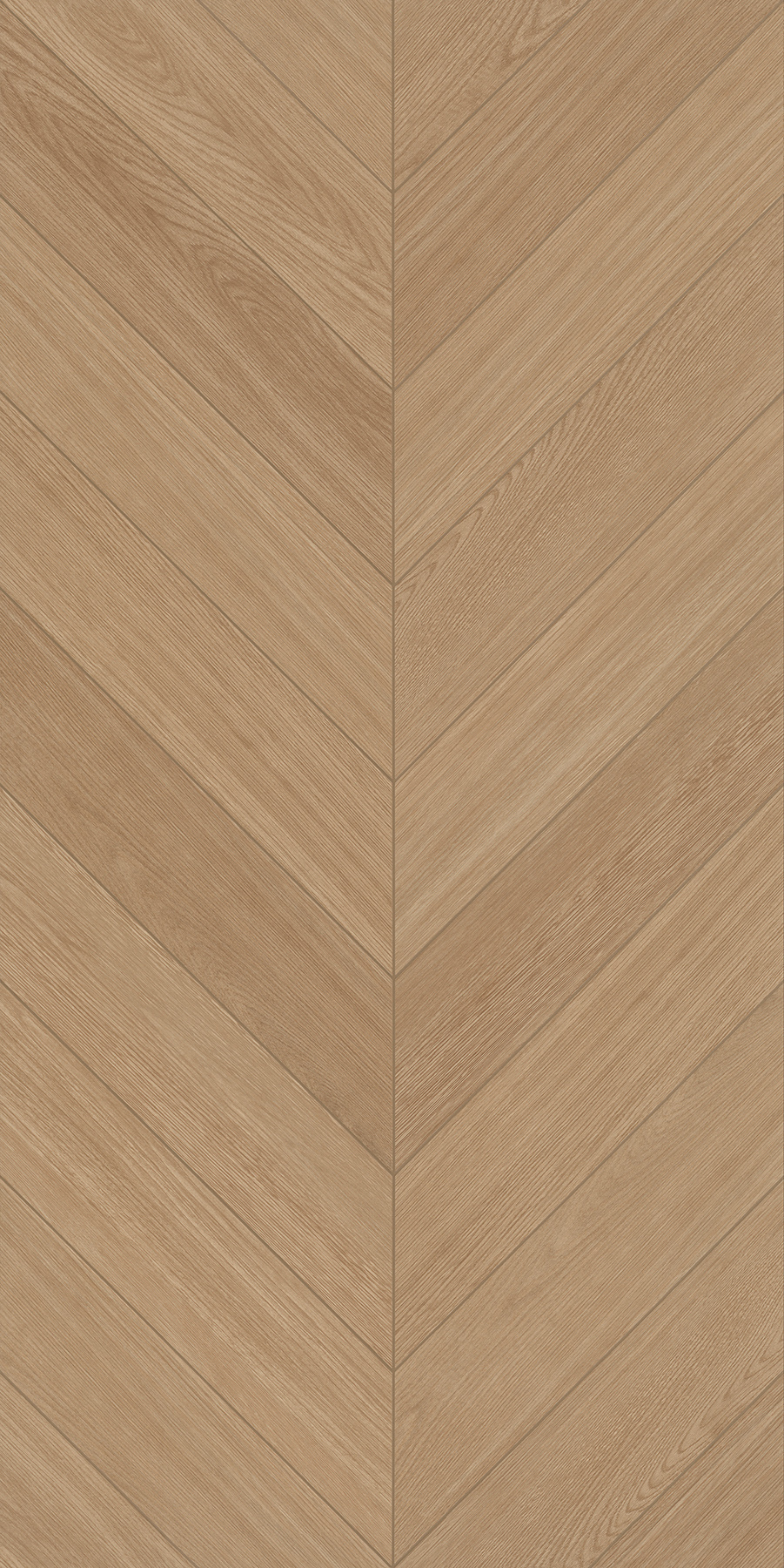 FTFZ12237B摩卡時光