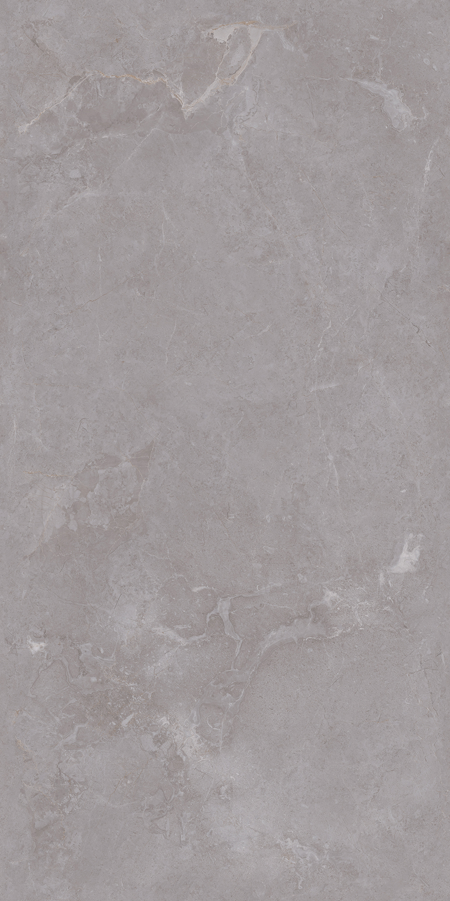 FTDZ12147布朗納斯