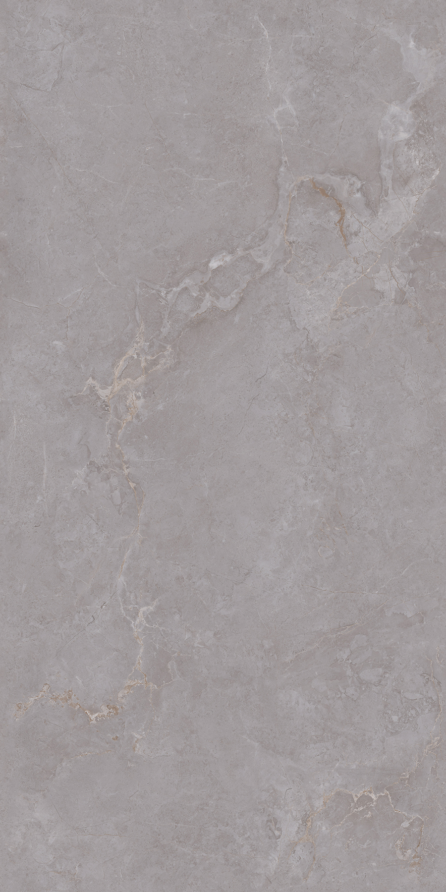 FTDZ12147布朗納斯