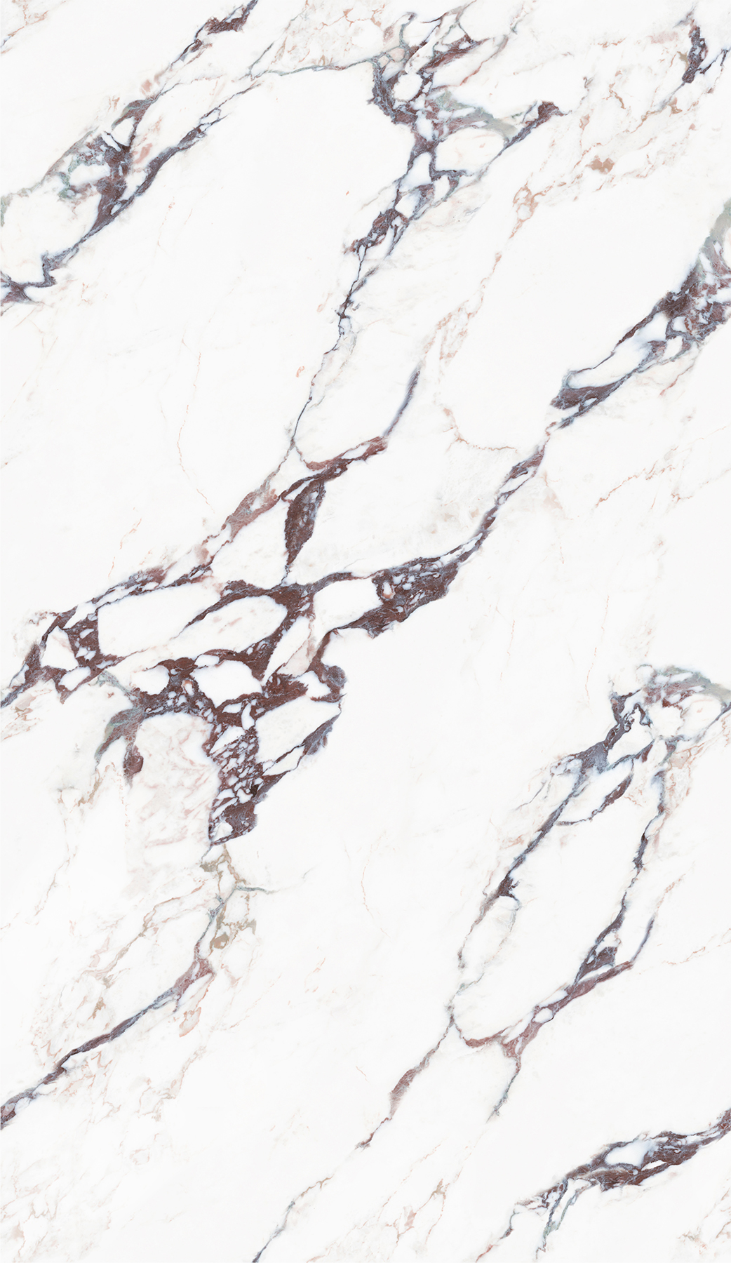 FTB813009新寶格麗（任意連紋）