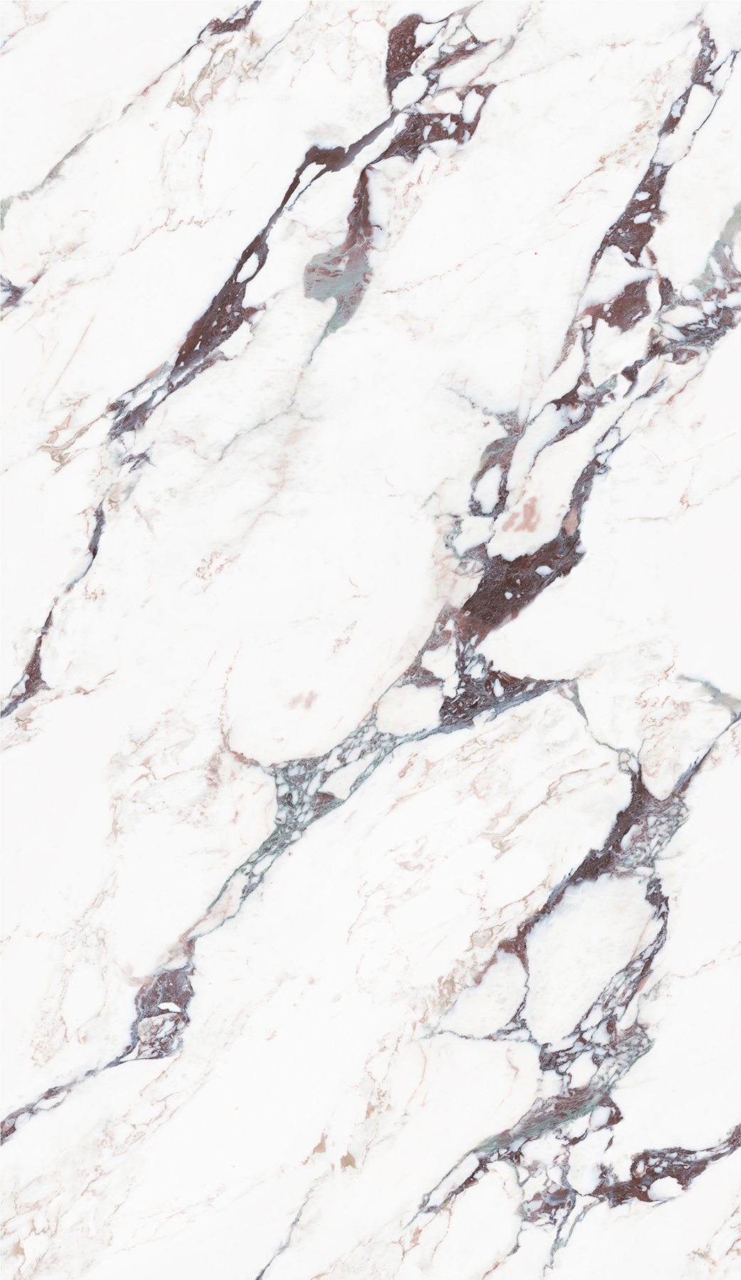 FTB813009新寶格麗（任意連紋）