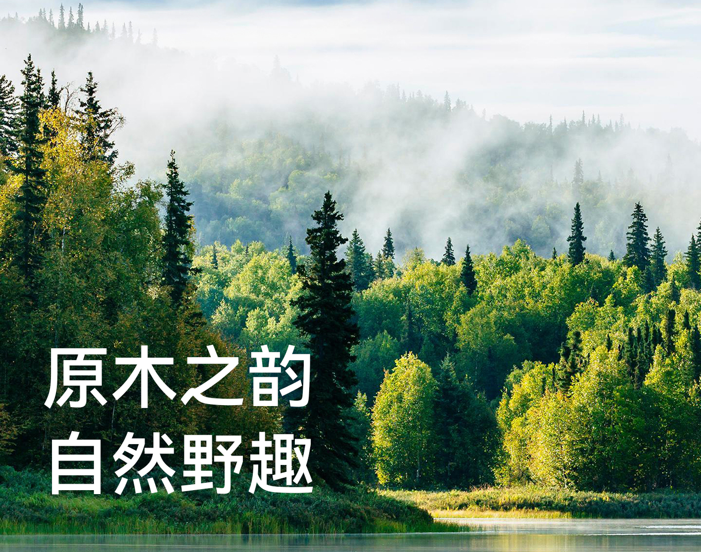 東方云木｜“木”與生活美學的深情對話