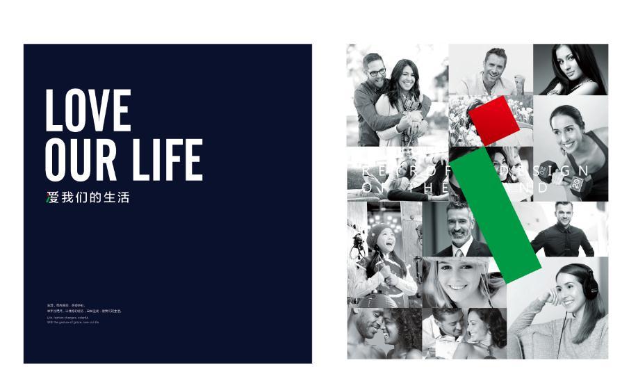 VI形象使用標(biāo)準(zhǔn)