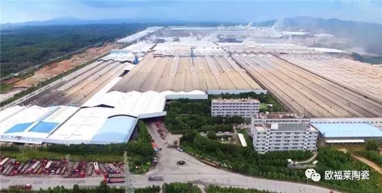 1501726394710325.jpg 009.webp.jpg