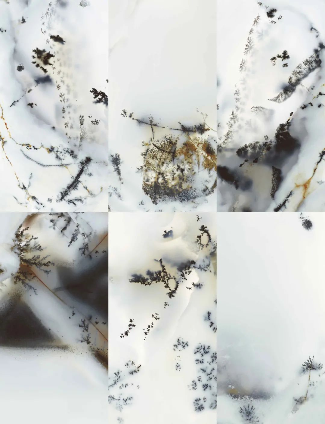 1639042115918229.jpg 微信圖片_20211209172259.jpg