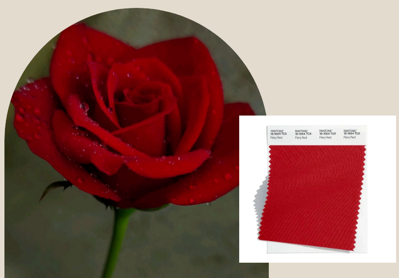 1681285095853054.png 002.png