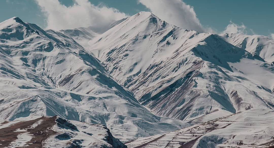 1688973100741664.jpg 1(已截).jpg