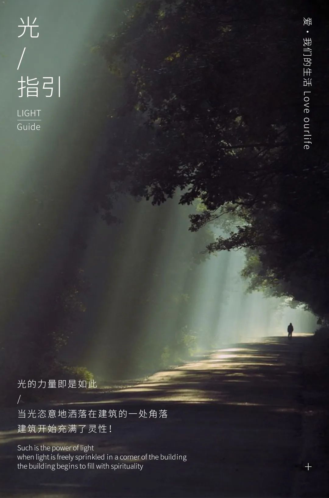 1698989775745655.jpg 1.jpg