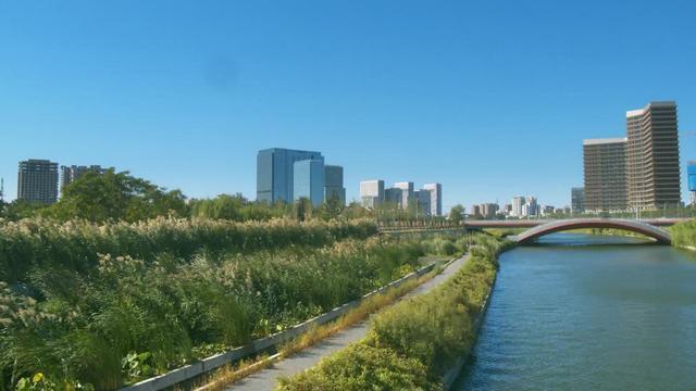 國際環保展|北京通州海綿城市建設取得重要進展