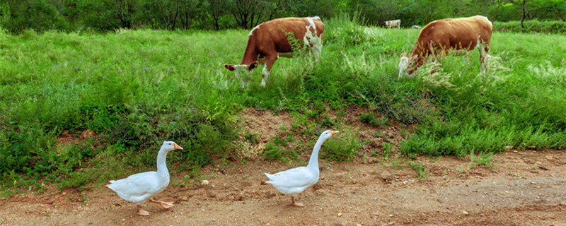 上海環保展|微生物技術新突破：構建”生物電網”實現抗生素高效降解