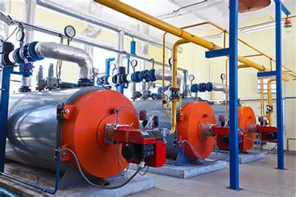 上海綠色制造展｜生物質天然氣制綠氨技術獲國際認證，實現全生命周期碳足跡追蹤